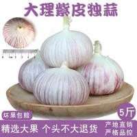 云南新鮮獨(dú)頭蒜紫皮大蒜新蒜頭獨(dú)蒜批發(fā)3斤中果2.5-3.2cm