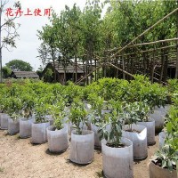 廣州廠家無紡布植樹袋加厚白色種植袋育苗袋花卉苗木蔬菜栽培袋