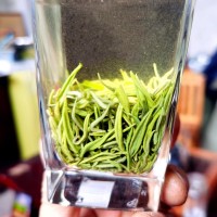 四川明前綠茶宜賓早茶白毫毛尖散裝綠茶定制加工批發(fā)茶葉源頭工廠