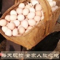 農(nóng)家姑娘土雞蛋 農(nóng)場散養(yǎng)土雞蛋 新鮮農(nóng)村自養(yǎng) 天然草雞蛋