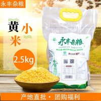 朝陽黃小米5斤袋裝農(nóng)家自種月子米寶寶米廠家批發(fā)黃小米2.5kg