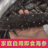 單凍即食海參批發(fā) 高壓即食抽真空海參 高回頭率送禮海參500g