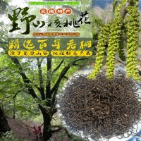 新貨云南特產(chǎn)野生核桃花泡水山菜野菜龍須菜采摘天然新鮮花莖曬干