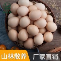 河南特產(chǎn)我老家土雞蛋批發(fā) 農(nóng)家散養(yǎng)新鮮草雞蛋廠家直銷