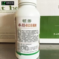 供應(yīng)牛膝專用葉面肥