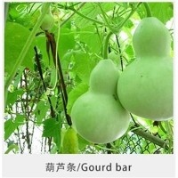 常年供應(yīng)葫蘆條干瓢 多種用途葫蘆條 葫蘆條多規(guī)格 【圖】