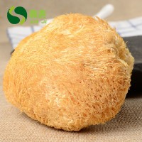 鑫吉挑選食用菌特產(chǎn)干貨猴頭菇 無熏金猴王猴頭菇500g批發(fā)