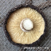 新香菇干貨產(chǎn)地批發(fā)直銷泌陽(yáng)縣泌園土特產(chǎn)黑面干香菇蘑菇一件代發(fā)