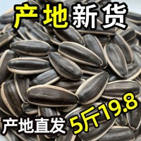 內(nèi)蒙古生瓜子361葵花籽601新貨新鮮散裝批發(fā)363原味5斤裝大顆粒