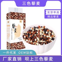 廠家批發(fā) 三色藜麥500g/袋張家口壩上黑白紅藜麥混合裝JP