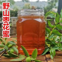 農(nóng)場蜂蜜棗花蜜 蜂農(nóng)自產(chǎn)自銷棗花原蜜貼牌 500g土蜂蜜批發(fā)