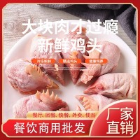 山東華寶廠家直銷冷凍雞肉 生鮮冷凍雞頭 批發(fā)動物寵物飼料