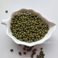 明綠豆批發(fā)笨綠豆綠豆粥湯原料散裝25kg五谷雜糧新綠豆