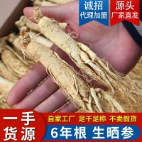 長白山人參批發(fā)整枝長白山干參生曬參白參東北特產(chǎn)人參干貨