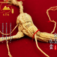 大掌柜東北特產(chǎn)吉林長白山人參禮盒五寶禮盒50g/盒泡酒煲湯送禮