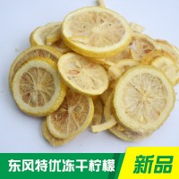 散裝四川安岳蜂蜜凍干檸檬干片 烘干檸檬片 花果茶 廠家批發(fā)檸檬