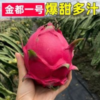 金都一號新鮮水果批發(fā)當(dāng)季整箱5斤非越南廣西農(nóng)產(chǎn)品紅心火龍果