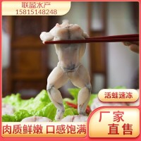 現(xiàn)殺中號(hào)牛蛙去頭凍品真空包裝10斤裝一包新鮮食材每只50-100克