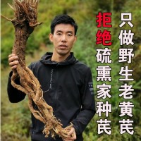 甘肅特產(chǎn)野生黃芪大片岷縣無硫野生老黃芪整支條批發(fā)供應一件代發(fā)