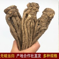 岷縣無硫當歸條批發(fā)價甘肅產(chǎn)地直供中藥材全當歸個子可切當歸頭片