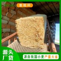 源頭廠家麥秸稈打碎草塊青貯飼料 家禽家畜牧草養(yǎng)殖粗飼料