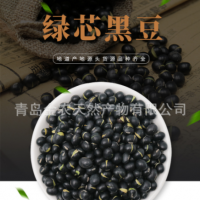 廠家直供黑皮綠仁烘炒黑豆-量大質(zhì)優(yōu)，出口品質(zhì)