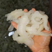 廠家直銷小龍膠冷凍水產(chǎn)花膠 尖尾花膠膠魚(yú)肚魚(yú)膠 餐飲批發(fā)500g