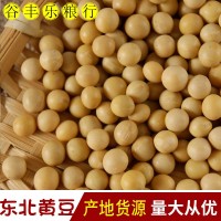 大量批發(fā)當季新黃豆 豆?jié){食品原料五谷雜糧東北大豆袋裝80斤