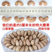 越南腰果A180腰果仁鹽焗炭燒帶紫皮紅標(biāo)果干扁盒裝廠家批發(fā)堅(jiān)果干