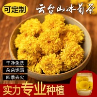 河南焦作菊花冰菊花茶韻級(jí)游懷菊花念云臺(tái)山青特禮盒露馳菊靈 2盒起批