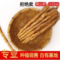 鐵棍山藥河南焦作溫縣壚土正宗新鮮長(zhǎng)5斤批鐵根淮山鐵懷山鐵桿棒 5個(gè)起批