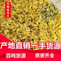 桂花廠家批發(fā) 金桂 桂花干 干桂花 廣西八月桂 花草茶 桂花茶  2斤起批