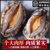 零售批發(fā)去內(nèi)臟鮑魚鮮凍鮑魚鮮活海鮮海產(chǎn)大鮑魚新鮮冷凍海捕野生