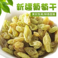 新疆特產(chǎn)無核大粒綠提子葡萄干休閑食品500克裝 葡萄干  2袋起批