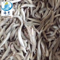 批發(fā)冷凍沙溜魚海泥鰍 新鮮冷凍玉筋魚 適合自助餐廳食堂廠家直銷