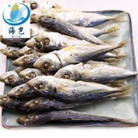 東山島海產(chǎn)魚干 淡于吧浪魚干 適合休閑食品KTV零食烹飪廠家批發(fā)