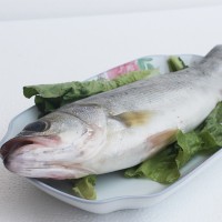 連云港水產(chǎn)批發(fā)海鮮鮮活鱸魚(yú)新鮮大鱸魚(yú)花鱸冷凍鱸魚(yú)公司飯店團(tuán)購(gòu)