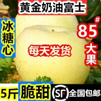 煙臺黃金奶油富士蘋果糖心當(dāng)季整箱山東棲霞白蘋果禮品盒   3盒起批