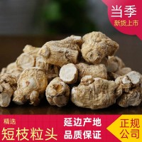 國(guó)產(chǎn)軟支西洋參粒頭 花旗參 3克粒頭 5克粒頭 7克粒頭 批發(fā)