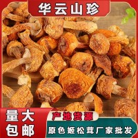 云南產(chǎn)地姬松茸長(zhǎng)腿短腿蘑菇 酒店煲湯食用菌干貨500g散裝批發(fā) 2件起批