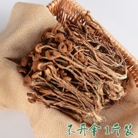 茶樹菇干貨 不開傘菇干貨500g 古田食用菌基地新鮮干貨廠家批發(fā)