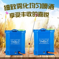 廠家批發(fā)20L八角款農(nóng)用背負(fù)式電動(dòng)噴霧器鋰電池噴霧器打藥機(jī)