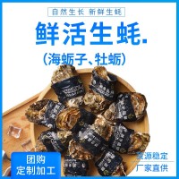 廠家現(xiàn)貨乳山帶殼新鮮海蠣子鮮活牡蠣海鮮水產(chǎn)生蠔大量批發(fā)代發(fā)