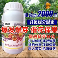 1000毫升多肉植物細(xì)胞分裂素催芽劑促花促生長(zhǎng)?；ū９~面肥正品