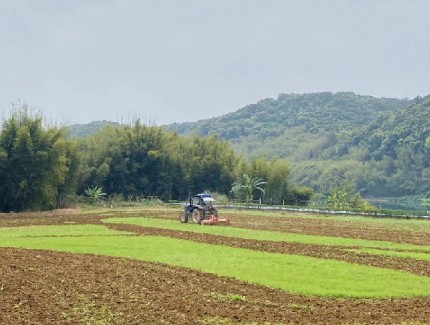 金融鏈接農(nóng)業(yè)精準(zhǔn)滴灌　助力“新農(nóng)人”追尋“稻田夢(mèng)”