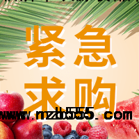 招募玉米種子 高產(chǎn)供應(yīng)商