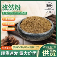 廠家供應(yīng)燒烤調(diào)味料家用烤肉羊肉串調(diào)料餐飲燒烤調(diào)味品孜然粉