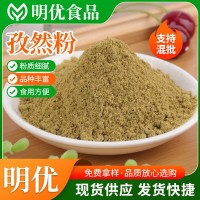 孜然粉 火鍋底料辣椒醬大魷魚(yú)雞排裹粉 燒烤粉調(diào)味料香辛孜然粉