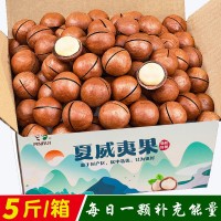 奶香味夏威夷果新貨云南堅(jiān)果小零食健康干果特產(chǎn)供檔口批發(fā)5斤/箱