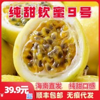 海南欽蜜9號(hào)黃金百香果 新鮮西番蓮當(dāng)季水果甜果黃果代發(fā)